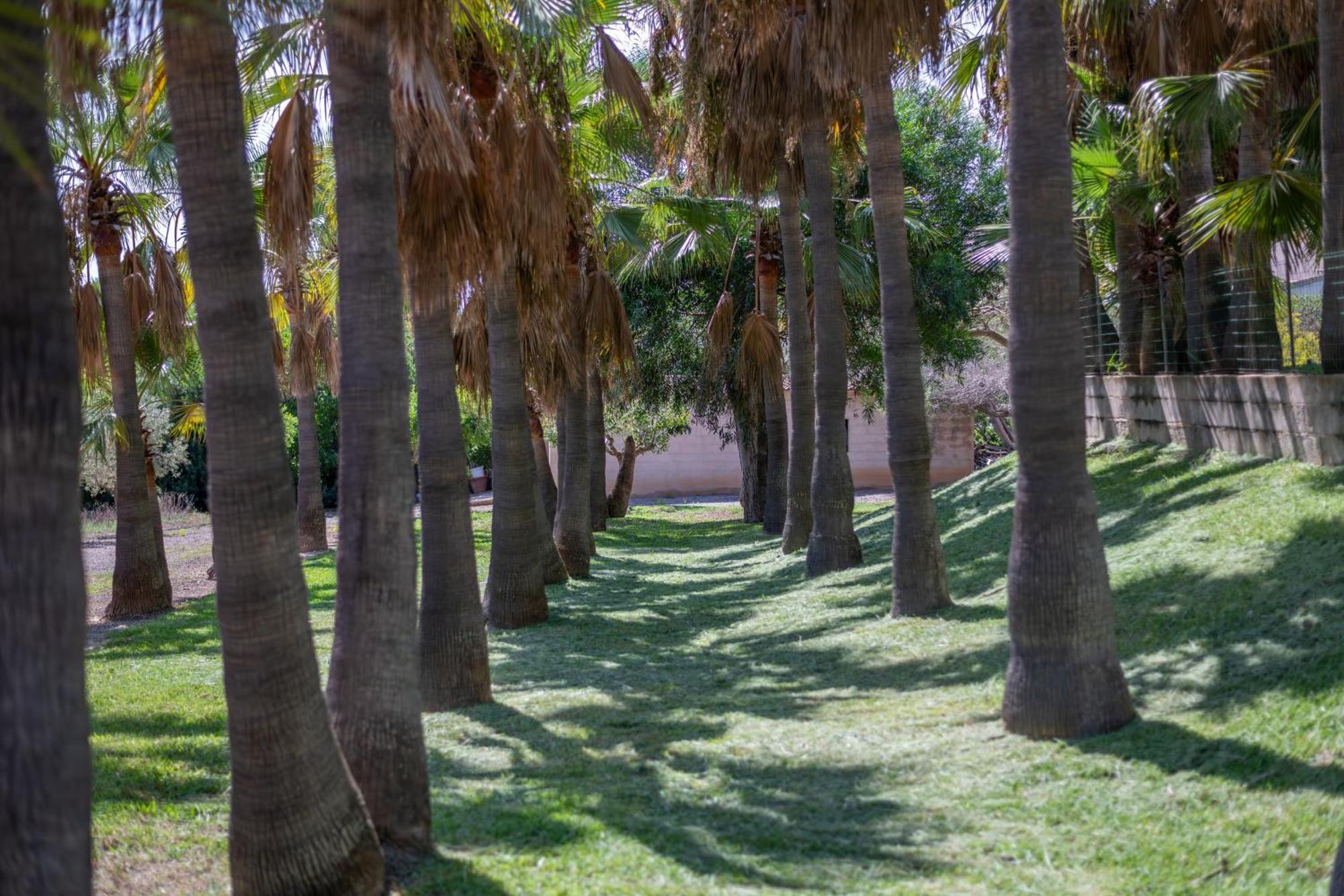 Villa Fina Colonia de Sant Jordi Eksteriør billede